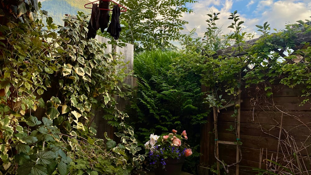 A pot with flowers is on the edge of a wooden fence.