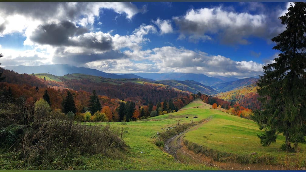 A large, open field with trees in the background and a path through the middle.