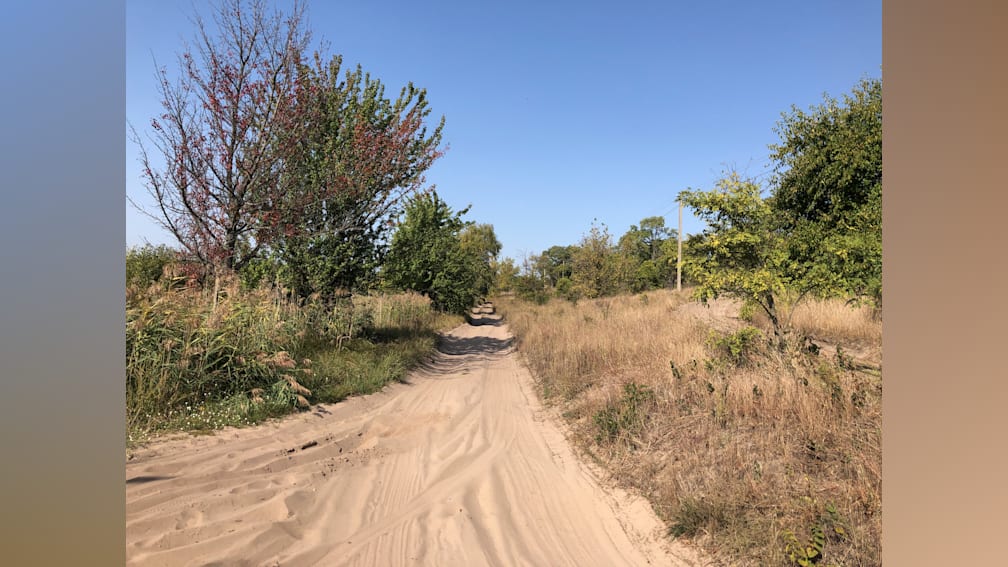 A dirt road has a lot of footprints in it and is very windy.