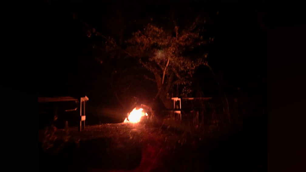 A fire burns brightly in a wooded area, casting an orange glow over the trees and the ground.