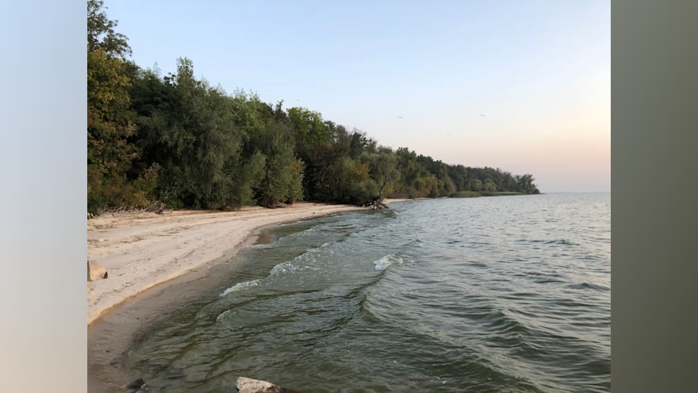 A beach with waves crashing on the shore and a tree line.