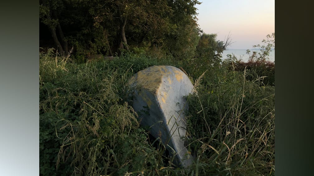 An old boat is sitting in the weeds by the water.