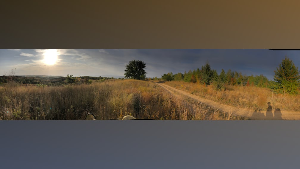 A tree is in the middle of a road and the tree is dry.