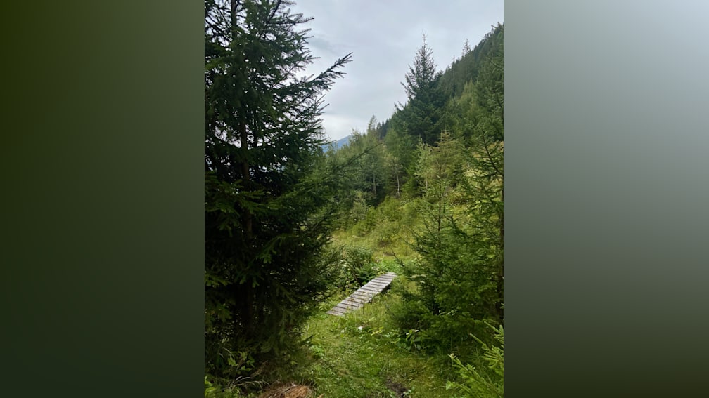 A long board is in the middle of a field surrounded by trees.