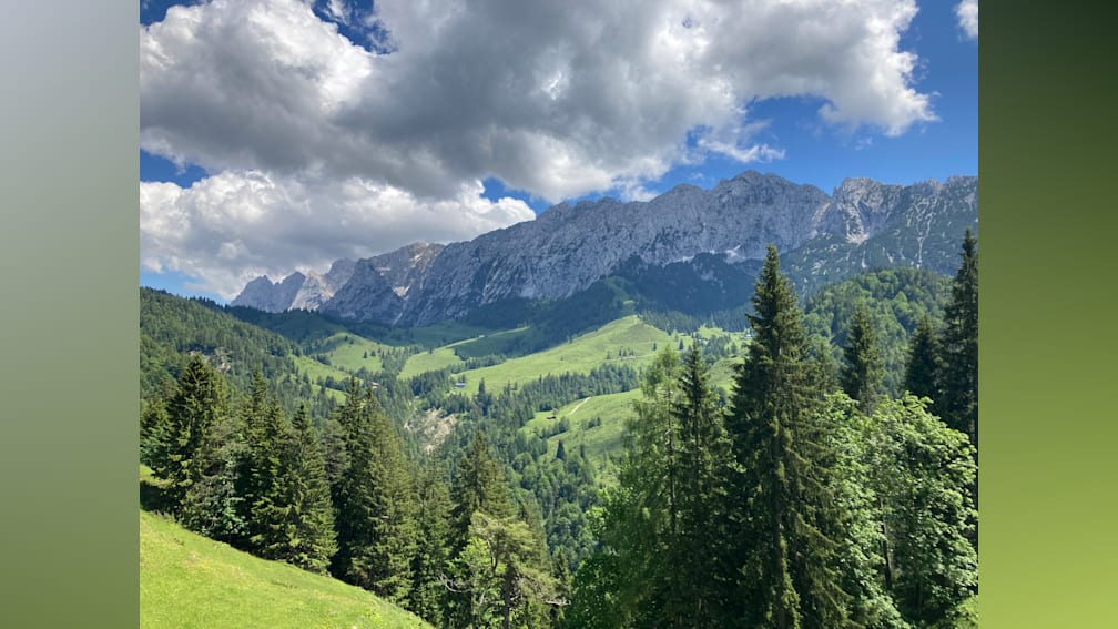 say hallo to the Alps