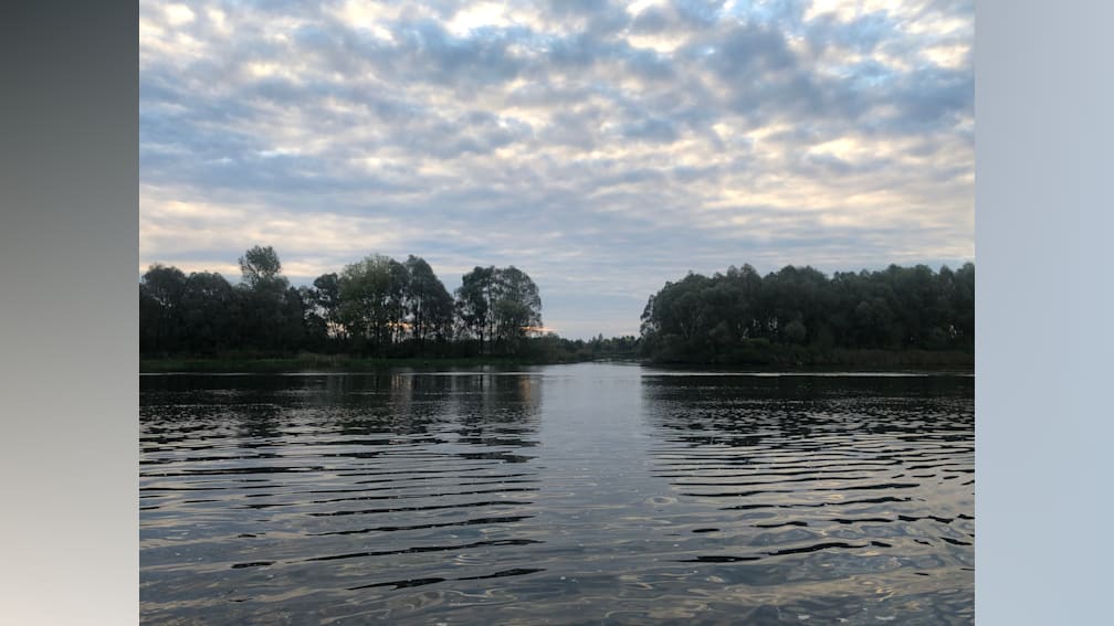 A lake with trees and a cloudy sky in the background.