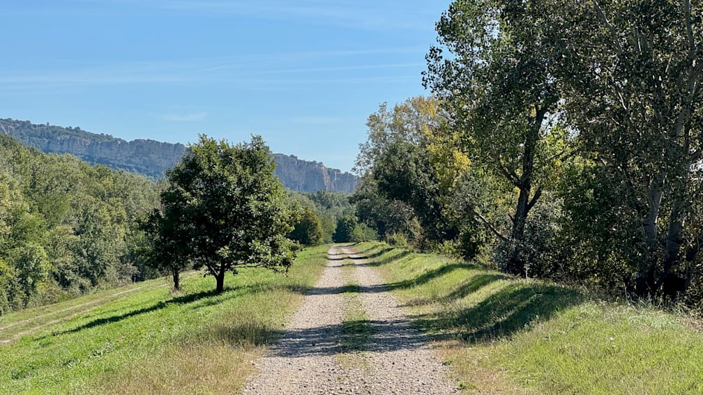 A gravel road winds through a lush green forest.