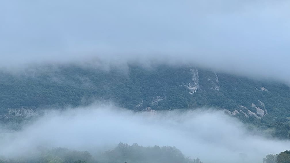A foggy landscape with trees and a mountain in the distance.