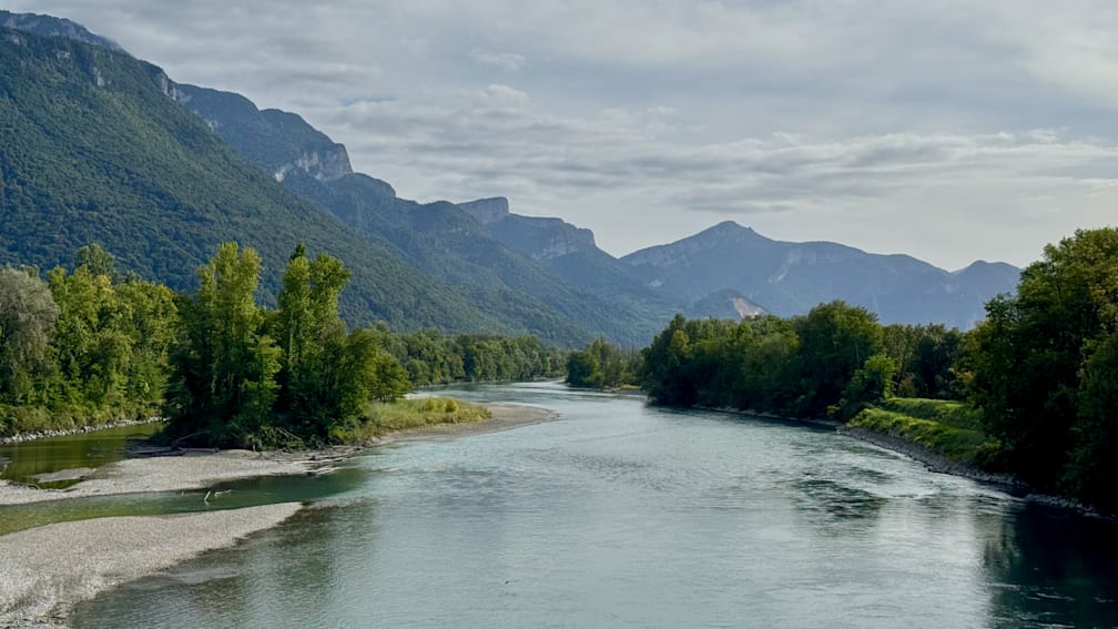 A river flows through a forested area with mountains in the background.