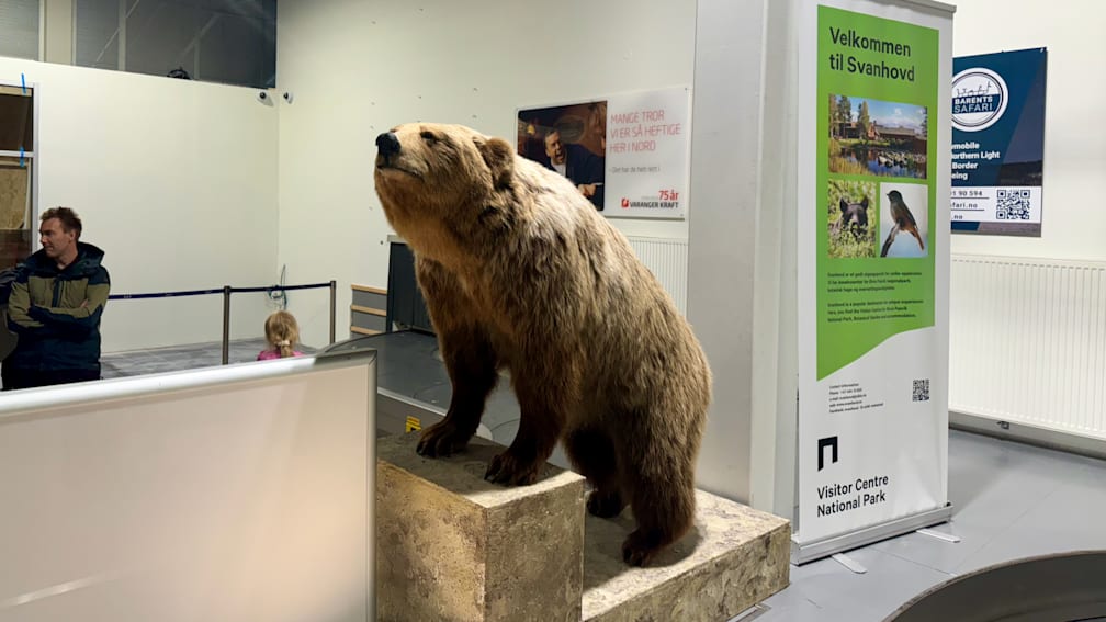 A stuffed animal bear is standing on a block of stone outside a building.