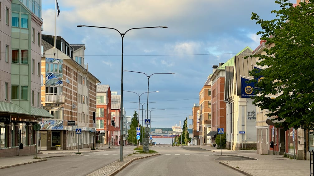 a street with a lot of trees and a blue sky in the background.