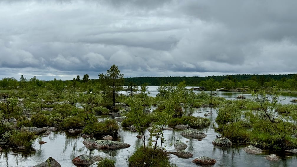 A forest with a lake and a lot of rocks in it.