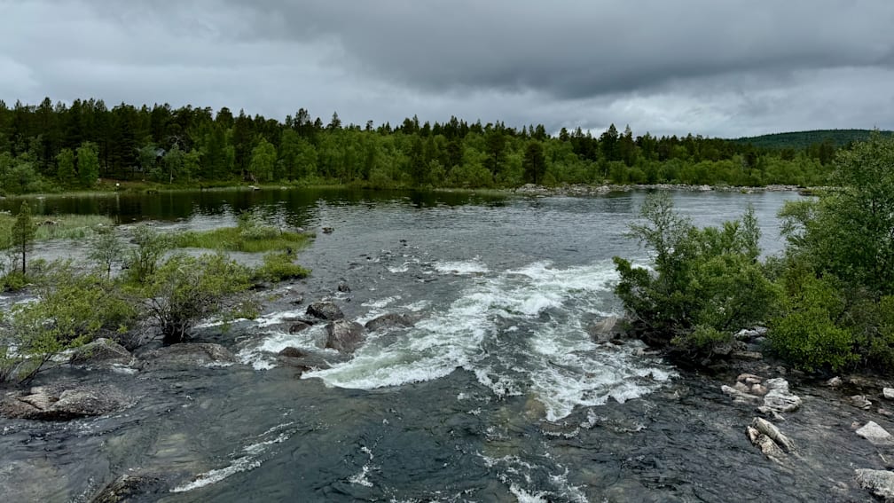 A river with a lot of rocks and trees next to it.