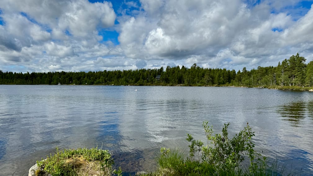 A lake surrounded by trees and a house is shown in the water.