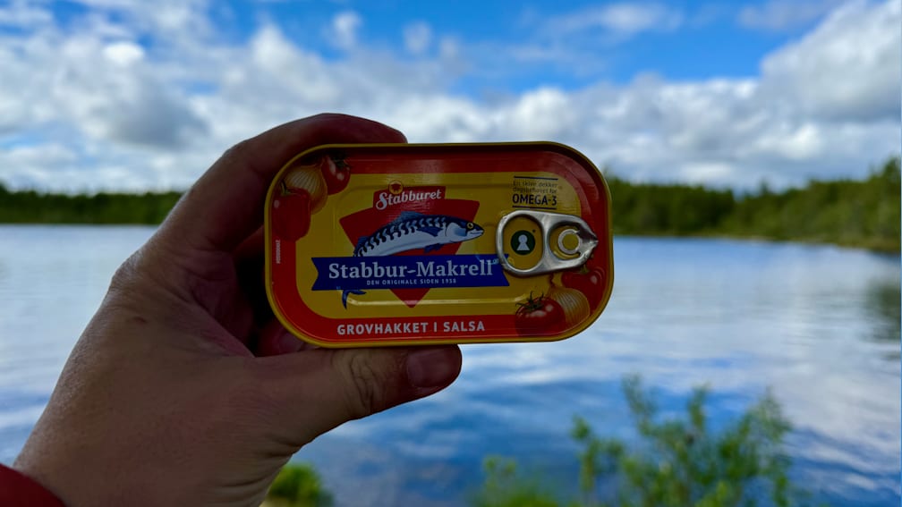 A hand holding a can of fish with the word "stabburmack" on it.
