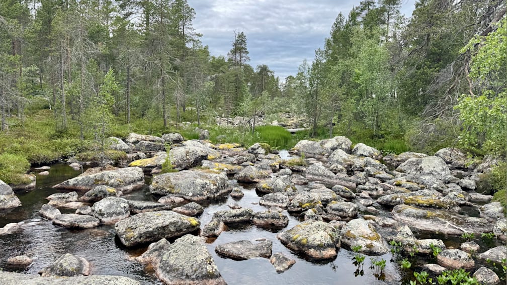 A stream of water is surrounded by large rocks and a forest.
