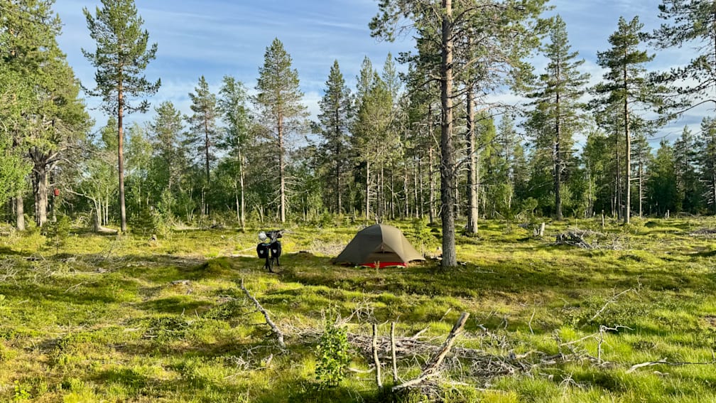 A tent is pitched in a field with trees and a dog.