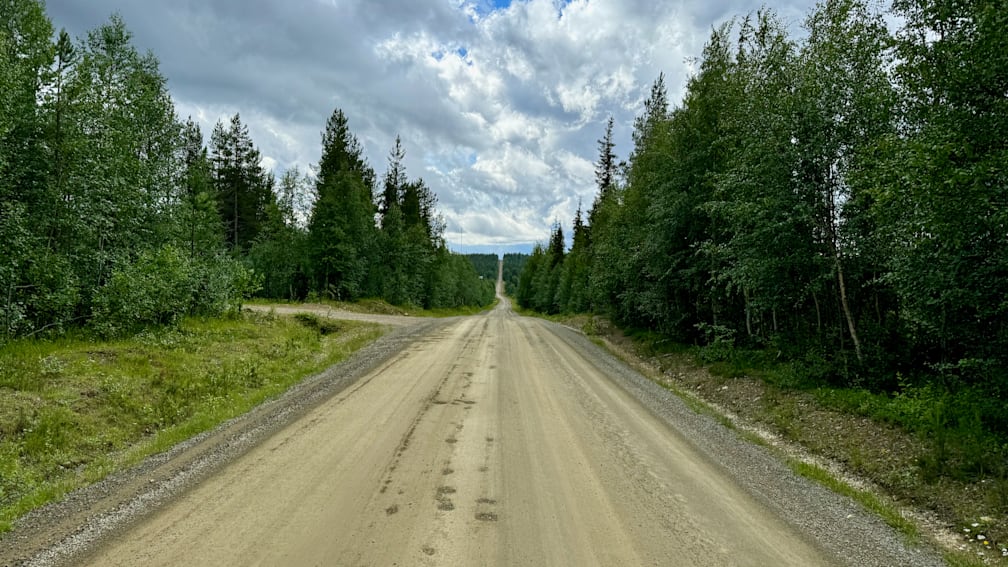 A dirt road cuts through a wooded area with trees lining the sides.