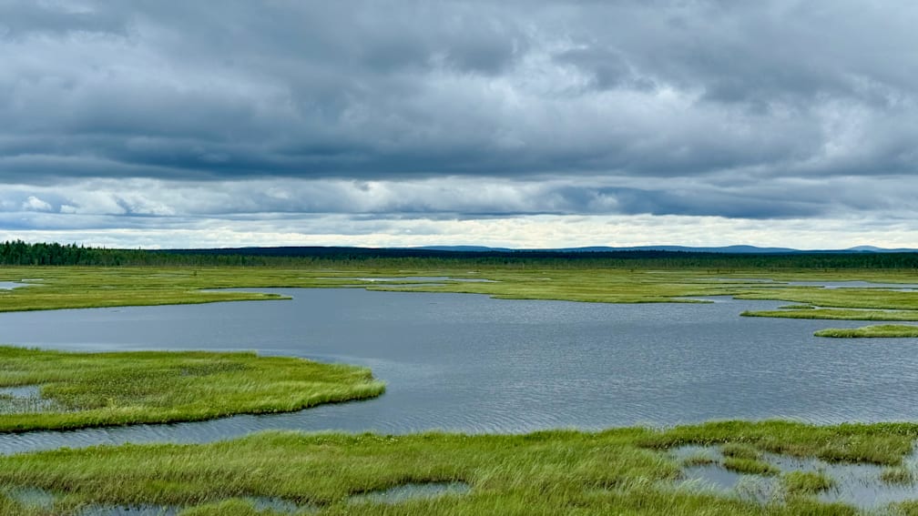 The water is calm and the grass is green in this scene.