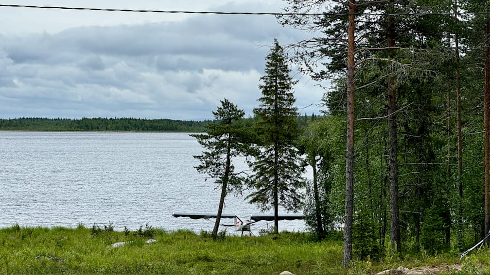 An airplane is on land next to a body of water and trees.