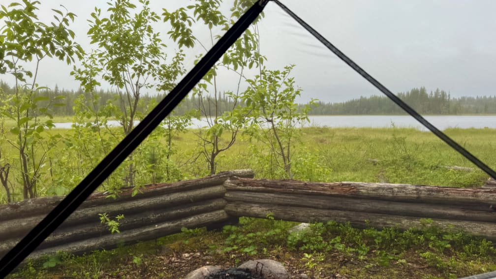 A screen on a tent with a view of grass and lake outside.