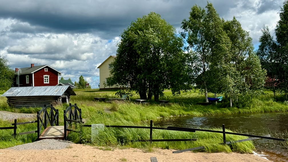 A tree with green leaves in front of a white house.