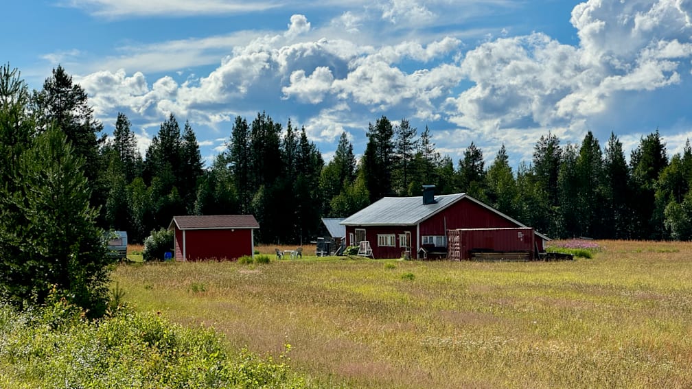 A large red barn sits in a field with a blue shed to the right of it.