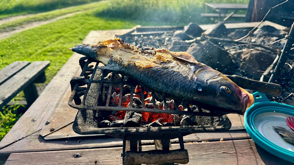 Charcoal is burning on a grill and a fish is cooking on it.