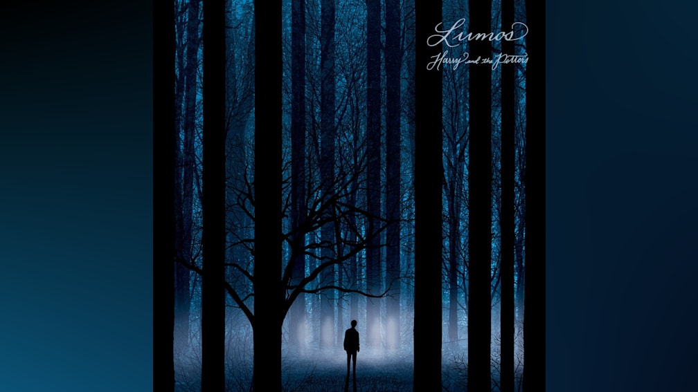 Lumos by Harry And The Potters