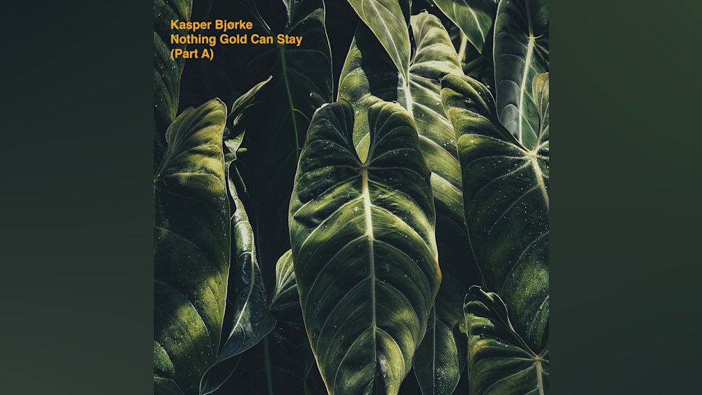 Nothing Gold Can Stay (Part A) by Kasper Bjørke