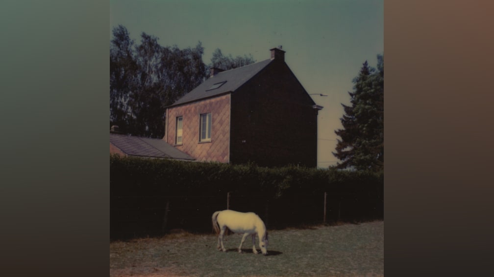 Hannah Miette by Hannah Miette