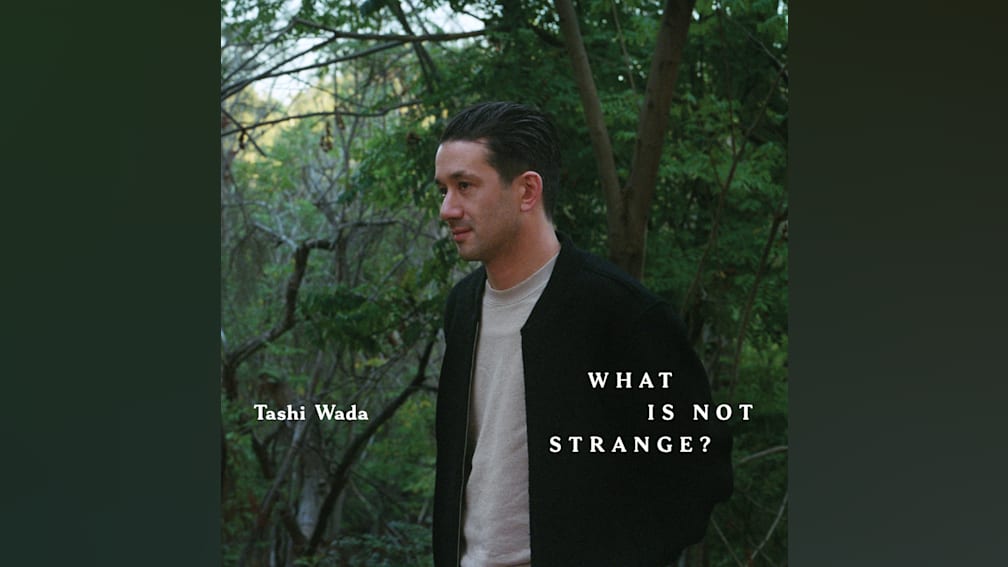What Is Not Strange? by Tashi Wada