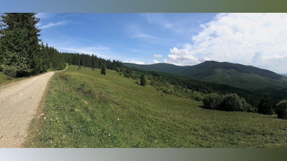 A field with trees in it and a sky in the background.