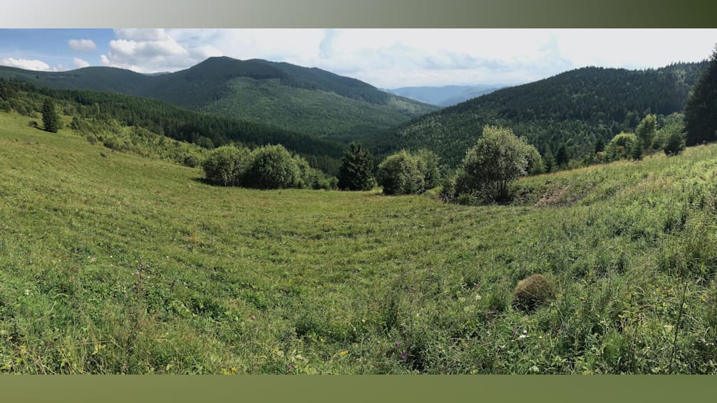 A large, open field with trees in the distance.