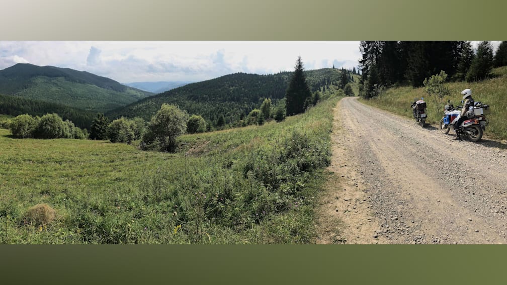 A dirt road winds up a hillside, through a field of wildflowers, and out on the other side.