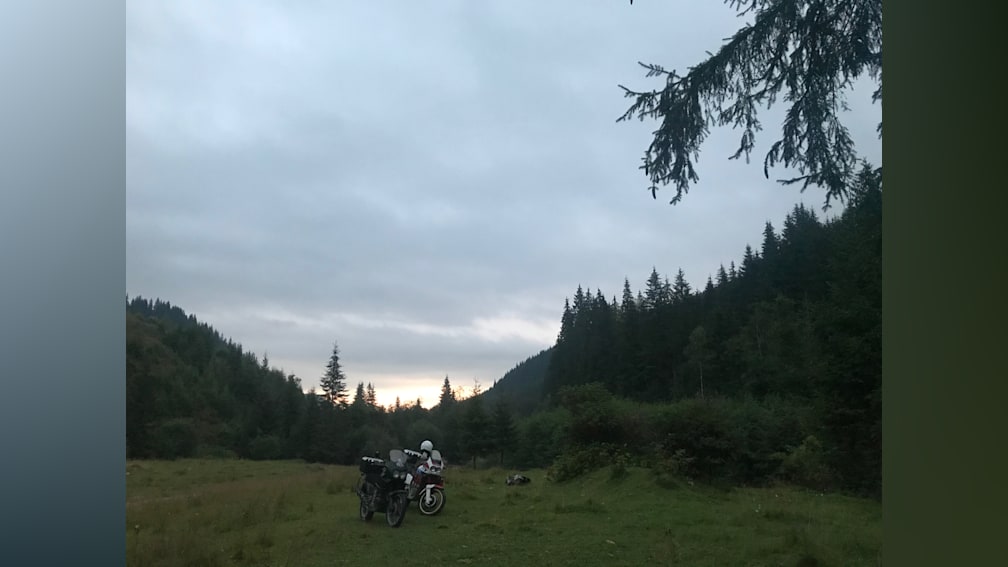 A motorcycle is parked in a field with trees in the background.