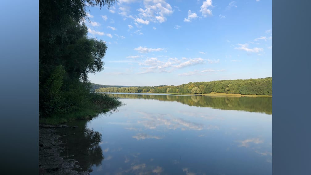 A lake is reflected in a tree-lined sky.