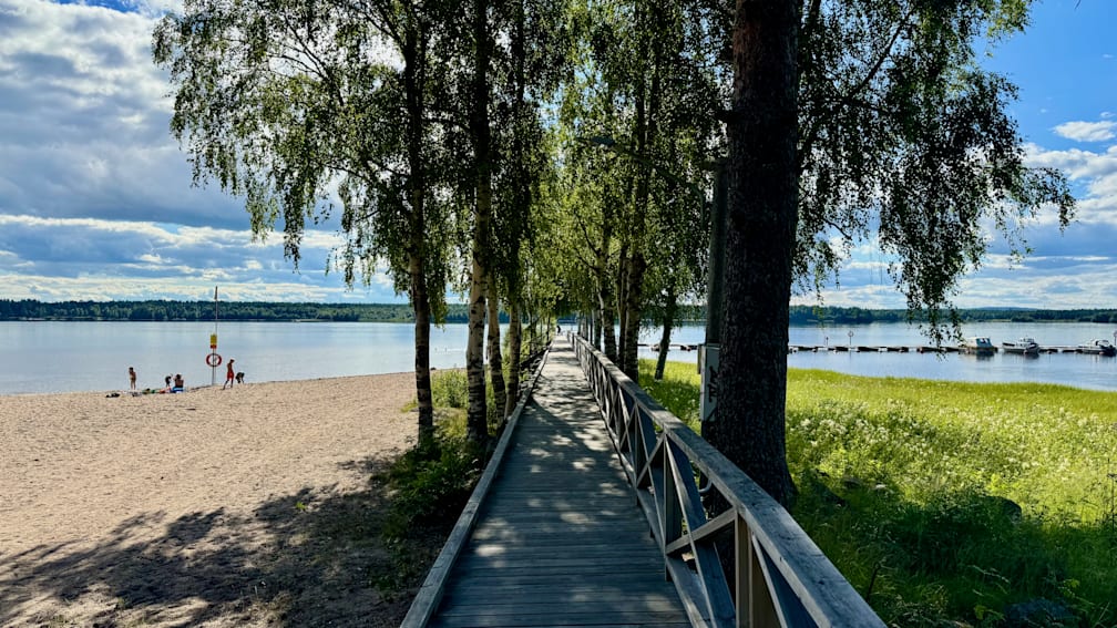 A long boardwalk that goes across a lake is shaded by trees.