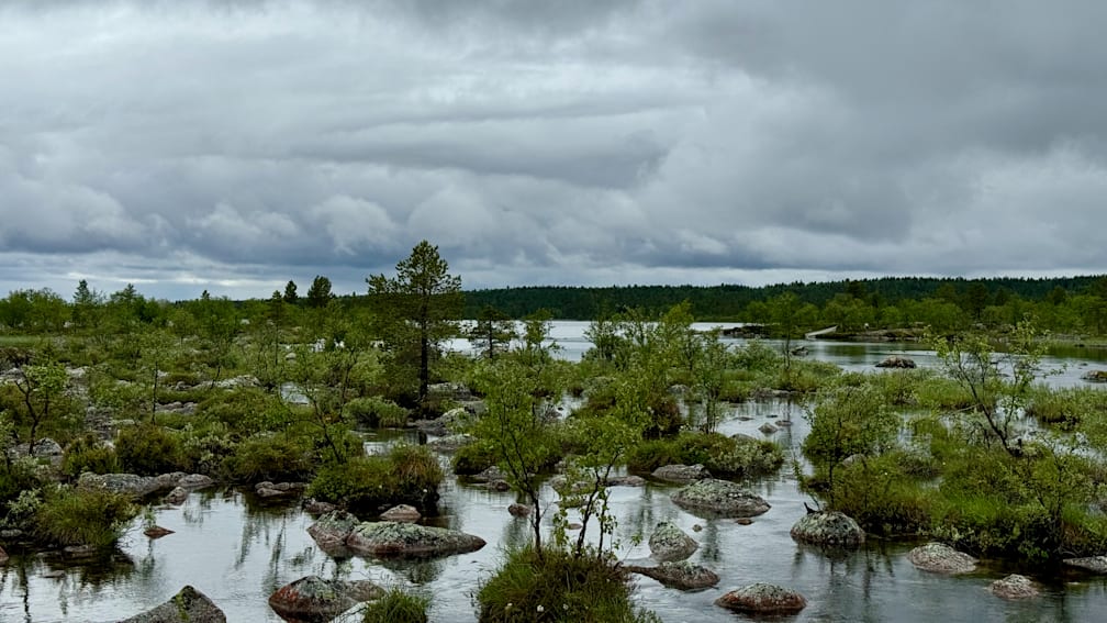 A field of rocks with trees in it and a lake in the background.