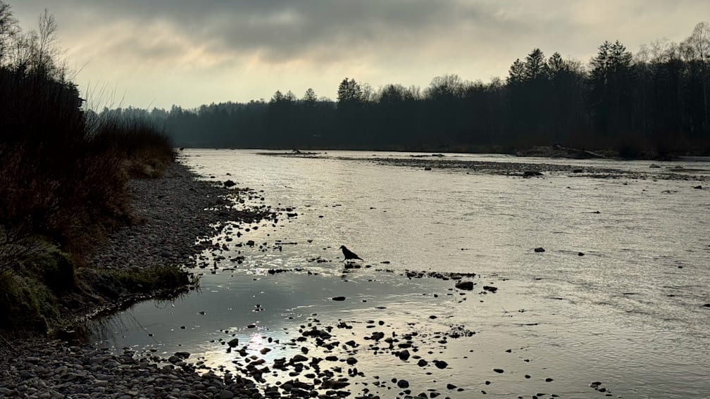 A bird is standing in the water next to a rock bank.