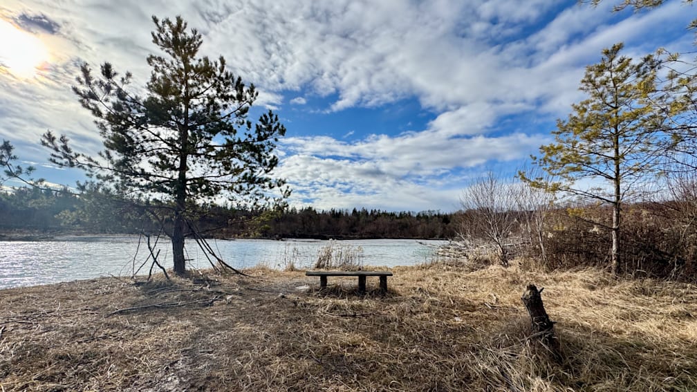 A bench is sitting on a grassy shore with a body of water behind it.