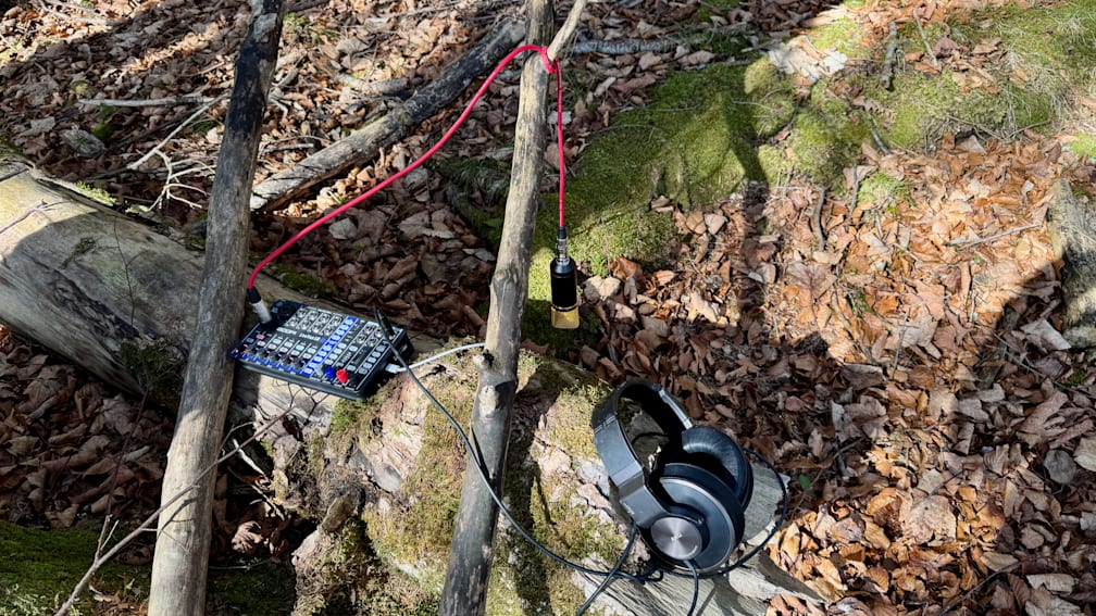 A small electronic device is hooked up to a tree branch, with a pair of headphones sitting on a rock nearby.