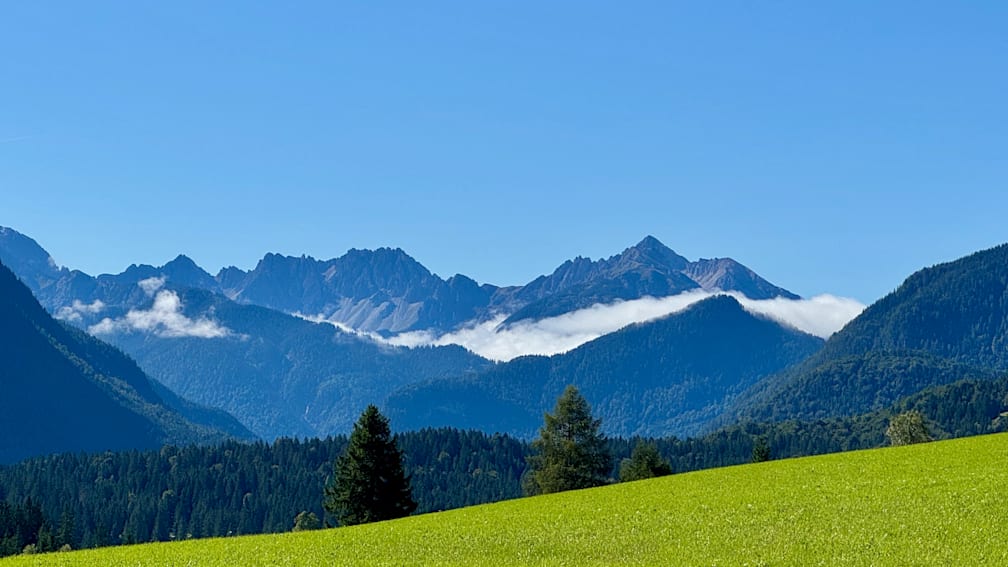 A field with trees and mountains in the distance is described as being green and grassy.