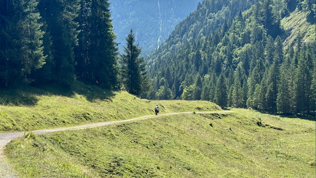 A person on a bike is riding down a path in the mountains.