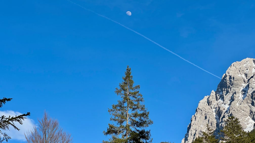 A tree is in front of a blue sky filled with many small dots.
