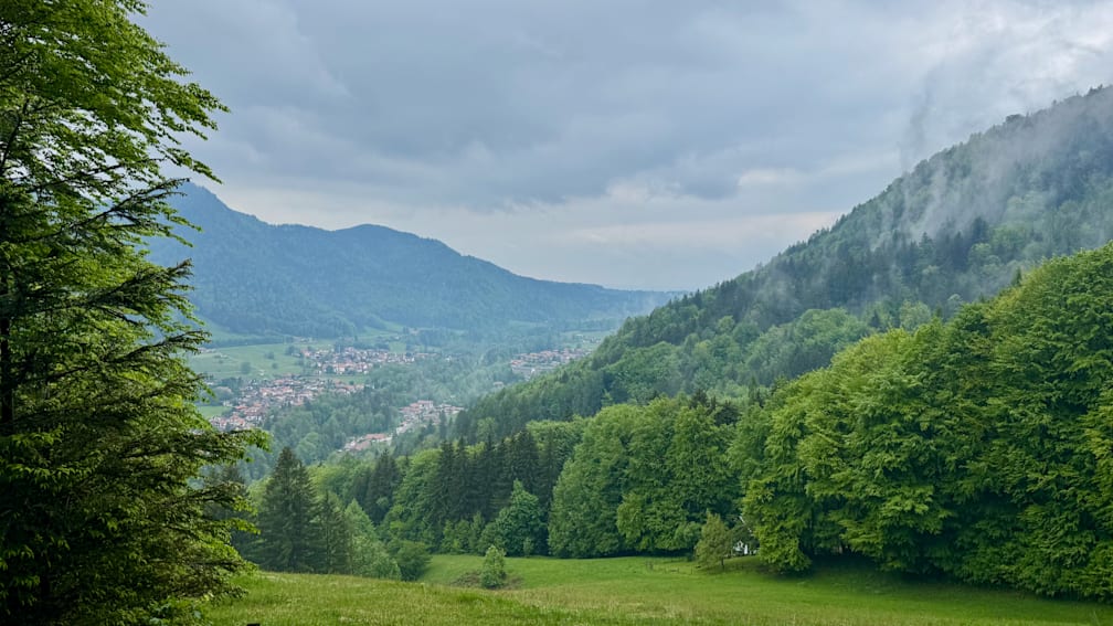 A field with trees and mountains in the distance with a flock of birds flying overhead.