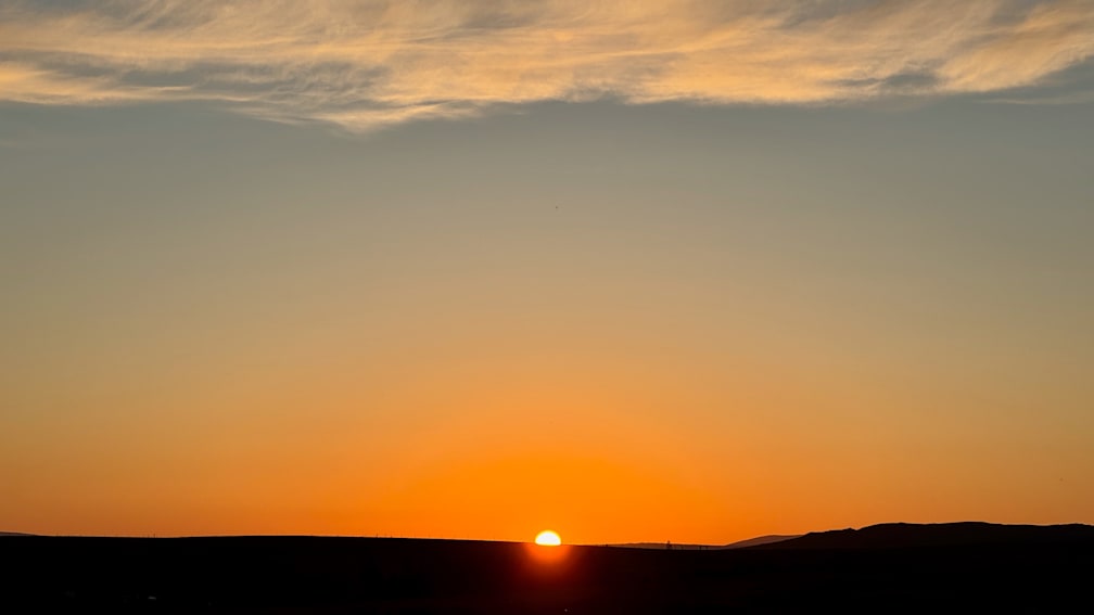 A sunset with a bunch of birds flying around in the sky.