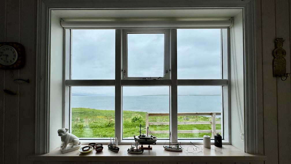 A bunch of insects are on the windowsill, and a model boat is on the ledge.