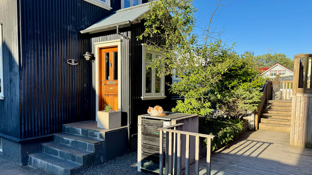 A cat is sitting on a machine that is outside on a sunny day.