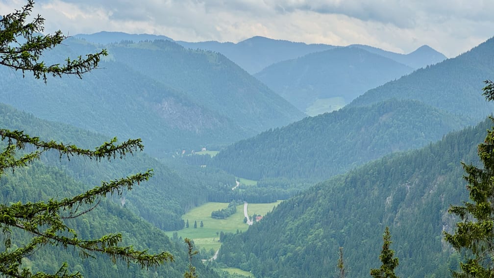 A mountain with a road going through it and a few trees.